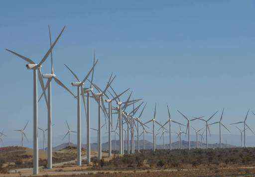 Horse Hollow Wind Energy Center Энергия ветра